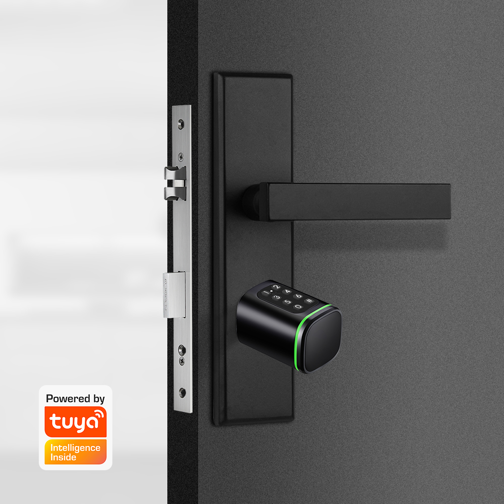 Serrure à cylindre intelligent - Home Security Keypad avis et prix